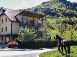 Nice Apartment In Lasko With House A Mountain View