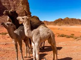 5 hotel in Wadi Rum 5 hotel in Wadi Rum