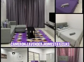 Cameron Lavender Homestay 3