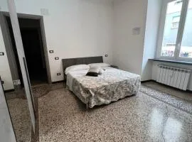 Grey house