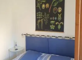 il faretto