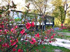 Fekete Gólya Pihenőház, hotel v destinaci Baja