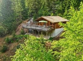 Le Refuge de Belbriette, chalet au coeur de la nature avec spa, cabin in Xonrupt-Longemer