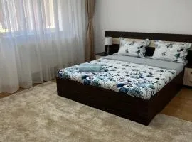 Apartament Andrei Baile Felix