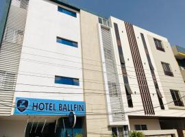 Hotel Ballfin Indore, hotel in Indore