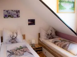 Appartement Edelweiss mit Infrarotkabine