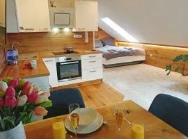 Apartmán u Ovečků - Nová Paka