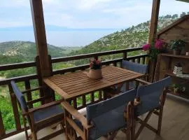 Eden View