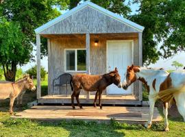 Tiny Cabin at the DonkeyRanch, puhkemajutus sihtkohas Medicine Park