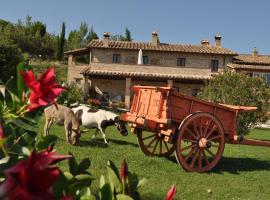 Farm stay Il Carro del Colle, pensiune agroturistică din Collevalenza