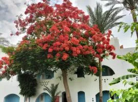 Coral Bay Roby