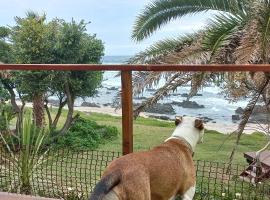 Shells on the Beach, hotel cerca de Seaview Game & Lion Park, Seaview