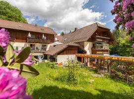 Zur Triftsperre, habitación en casa particular en Passau