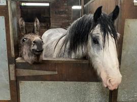 Holywell Grange Farm, hotel in Whitley Bay