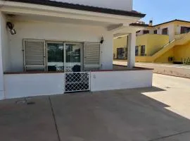 Stella marina 2 da Alessandro