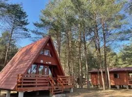 Domek letniskowy nad jeziorem