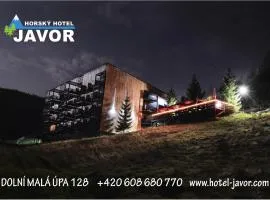 Horský Hotel Javor