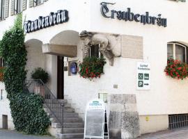 Hotel Gasthof Traubenbräu, hotel v destinácii Krumbach
