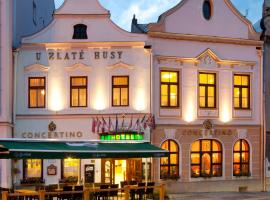 Hotel Concertino Zlatá Husa, khách sạn ở Jindřichŭv Hradec