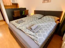 Apartment Dachstein nahe Zentrum