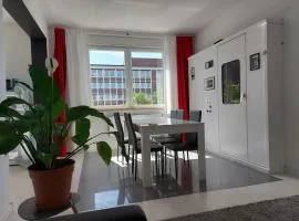 Schönes modernes Loft in Essen - Südviertel