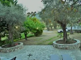 Villa skopelos