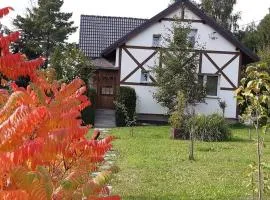 Karkonoski Widok