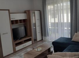 Transylvania Apartman, Hotel in Livezeni