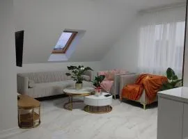 Apartament Lipowa 2