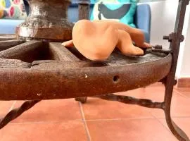 Casa Pescado el descanso del lagarto