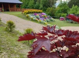 ROZTOCZE, Domek Na Leśnym Wzgórzu, Zwierzyniec, Krasnobród,Zamość