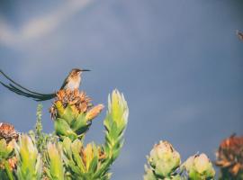 Wild Rescue Nature Reserve, hotel amb aparcament a Riversdale