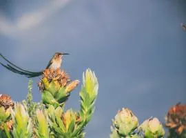 Wild Rescue Nature Reserve