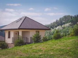 Domek w Bieszczadach