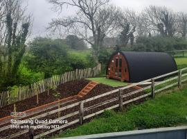Ivy hill Glamping Pod, hotel in Ennis