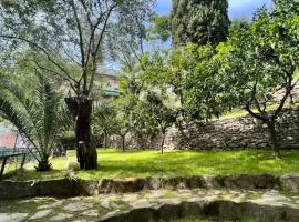 Blue Garden
