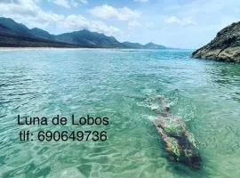 Luna de Lobos