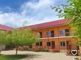 AltynAi Guest House, hotel in Cholpon-Ata