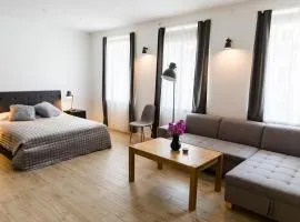 Cosy scandinavian style apartment - Citycenter