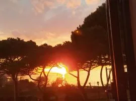 Appartamento Marina