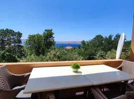 Apartment "King" Cesarica-Karlobag