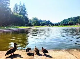 Domek całoroczny nad zalewem u podnóża Gór Stołowych