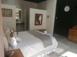 The Oak Treehouse 37 Foch Avenue