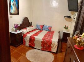 15pax-2 minutes to Vigan-RoseandFer Transient-2 Bedroom House, homestay in Bantay
