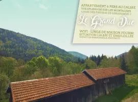 ⁂⁂ LE GRAND DUC Appartement [CLEDICIHOME] / Magnifique vue sur les montagnes / 4 KMs DE GERARDMER ! ⁂⁂