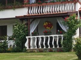 Guesthouse Dida, guest house in Sapareva Banya