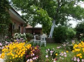 Mina's serene garden house