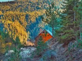 Cozy Cottage Feel Free continental