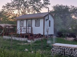 Căsuța Sara- the story of nature, cottage in Plopi