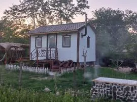 Căsuța Sara- the story of nature